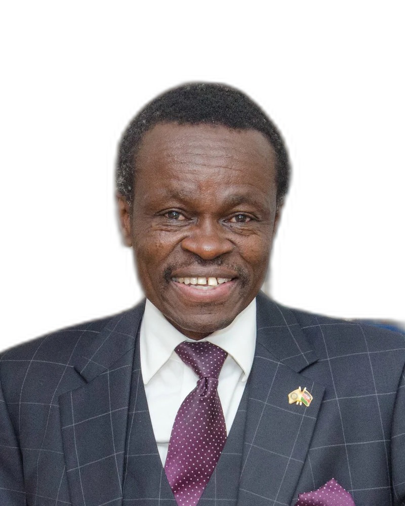 Prof. PLO Lumumba, Pan-Africanist & Anti-Corruption Legal Advocate at Transform Africa Now