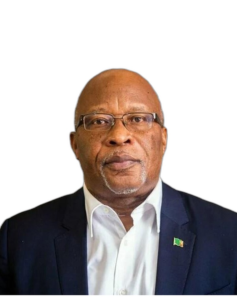 Dr Nevers S. Mumba, Former Vice President of Zambia at Transform Africa Now